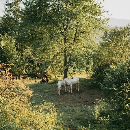Etno Village Dolina Srece Üdülőpark *