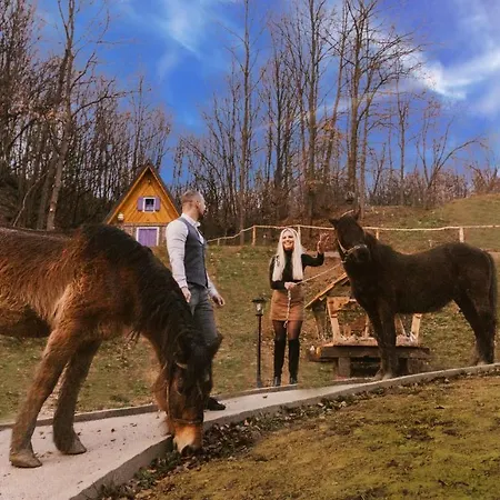 Etno Village Dolina Srece * Vitez