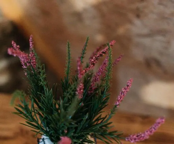 Holiday park Etno Village Dolina Srece *