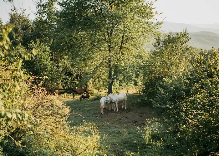 Etno Village Dolina Srece Holiday park *